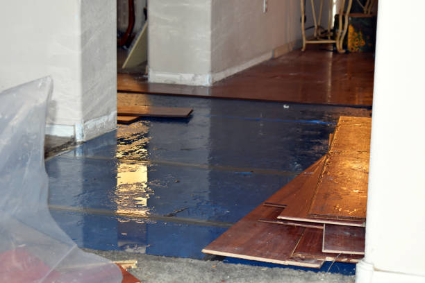 Professional Sewage Cleanup technician working in Raymond, OH